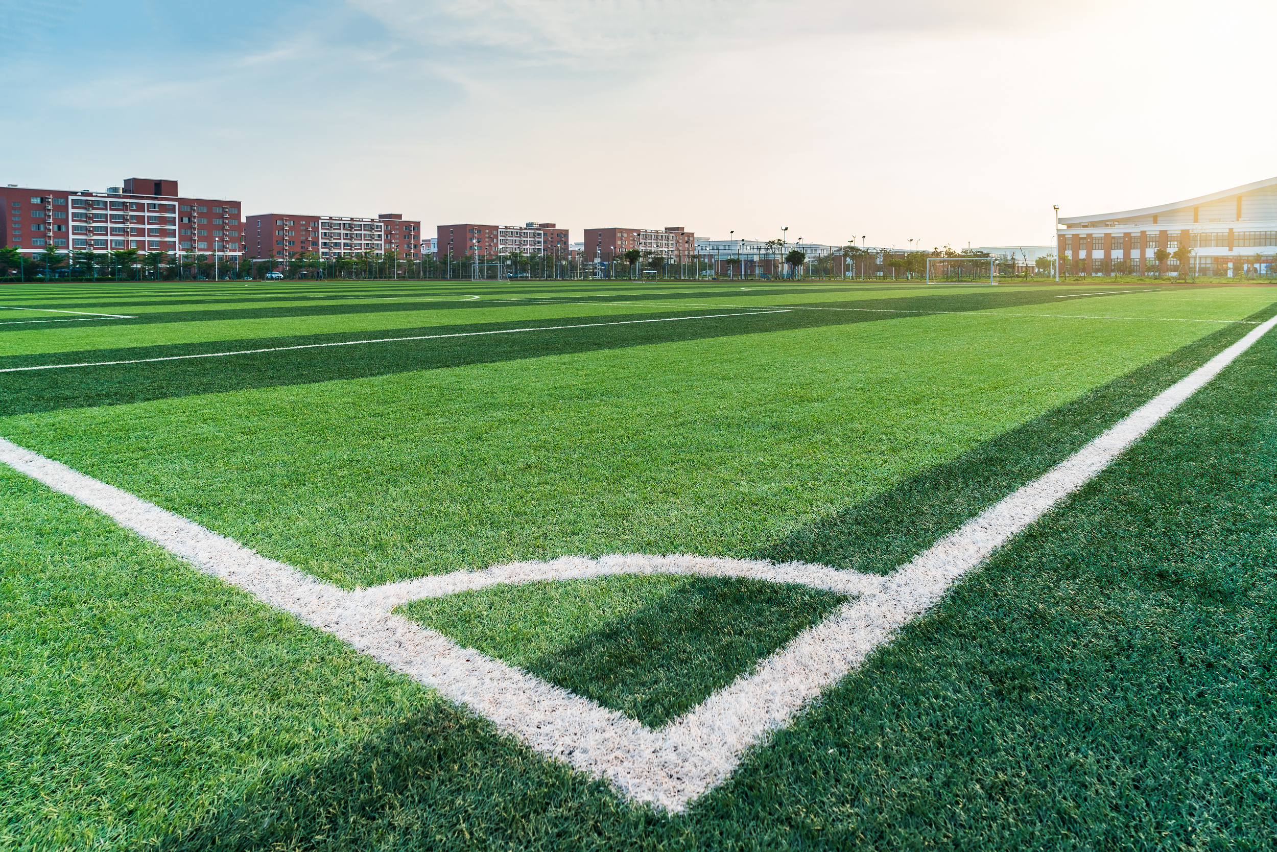 �����ƺ����������Щ��