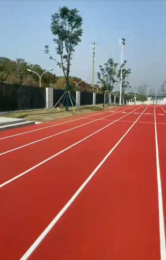 �������36Сѧ������ܵ�